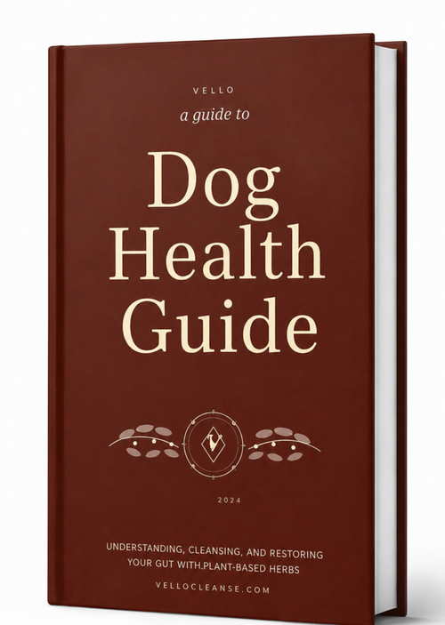 Dog Health Blueprint (Free Bonus)