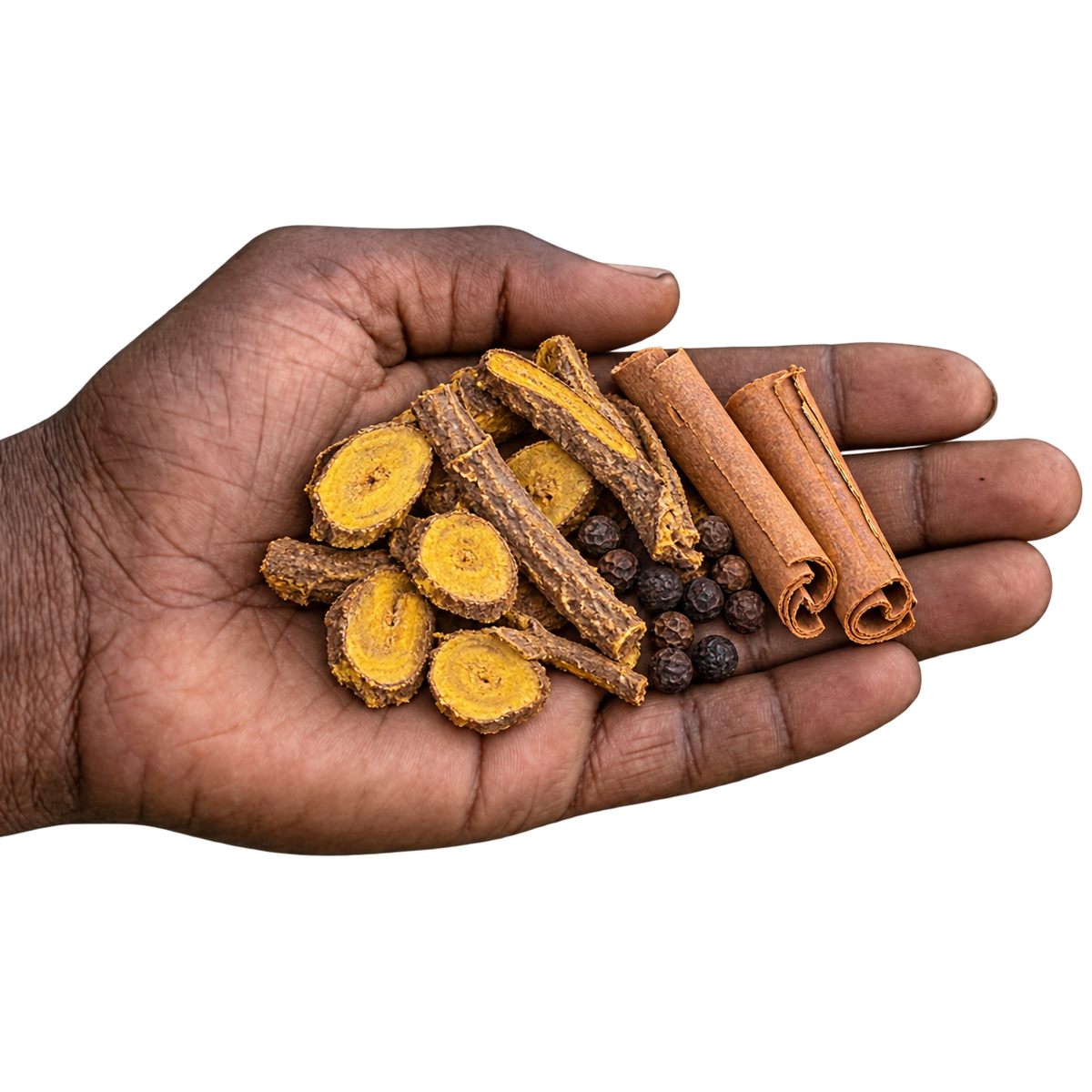 An open palm holding berberis root, Ceylon cinnamon and black pepper