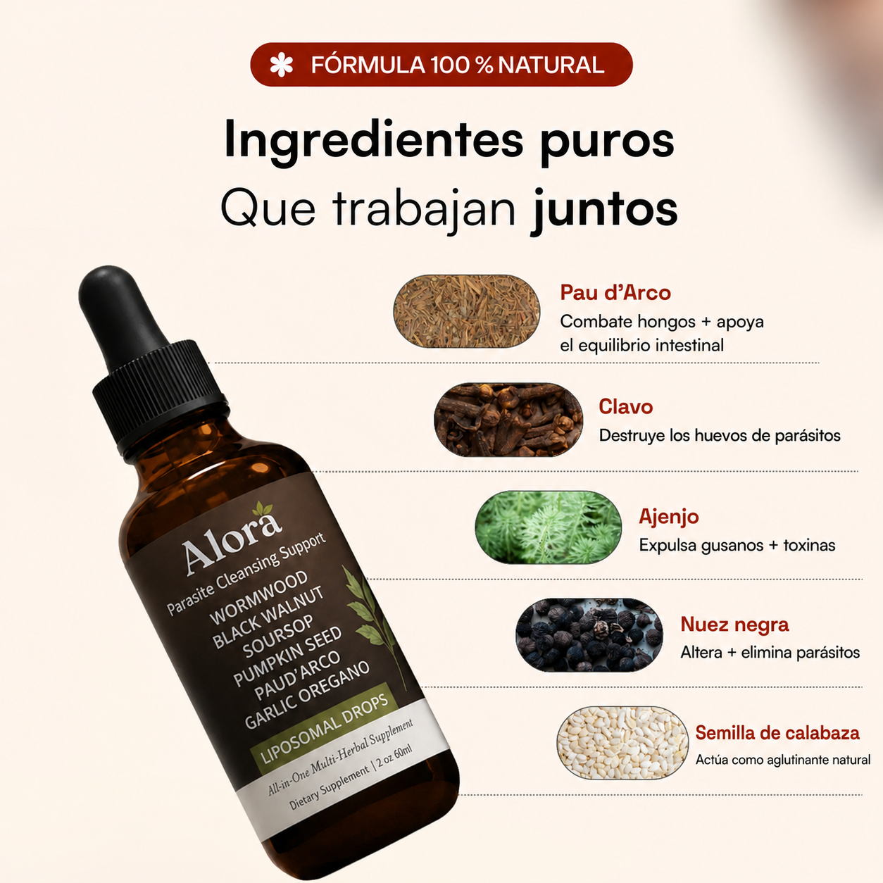 Limpieza Antiparasitaria con Nuez Negra y Ajenjo