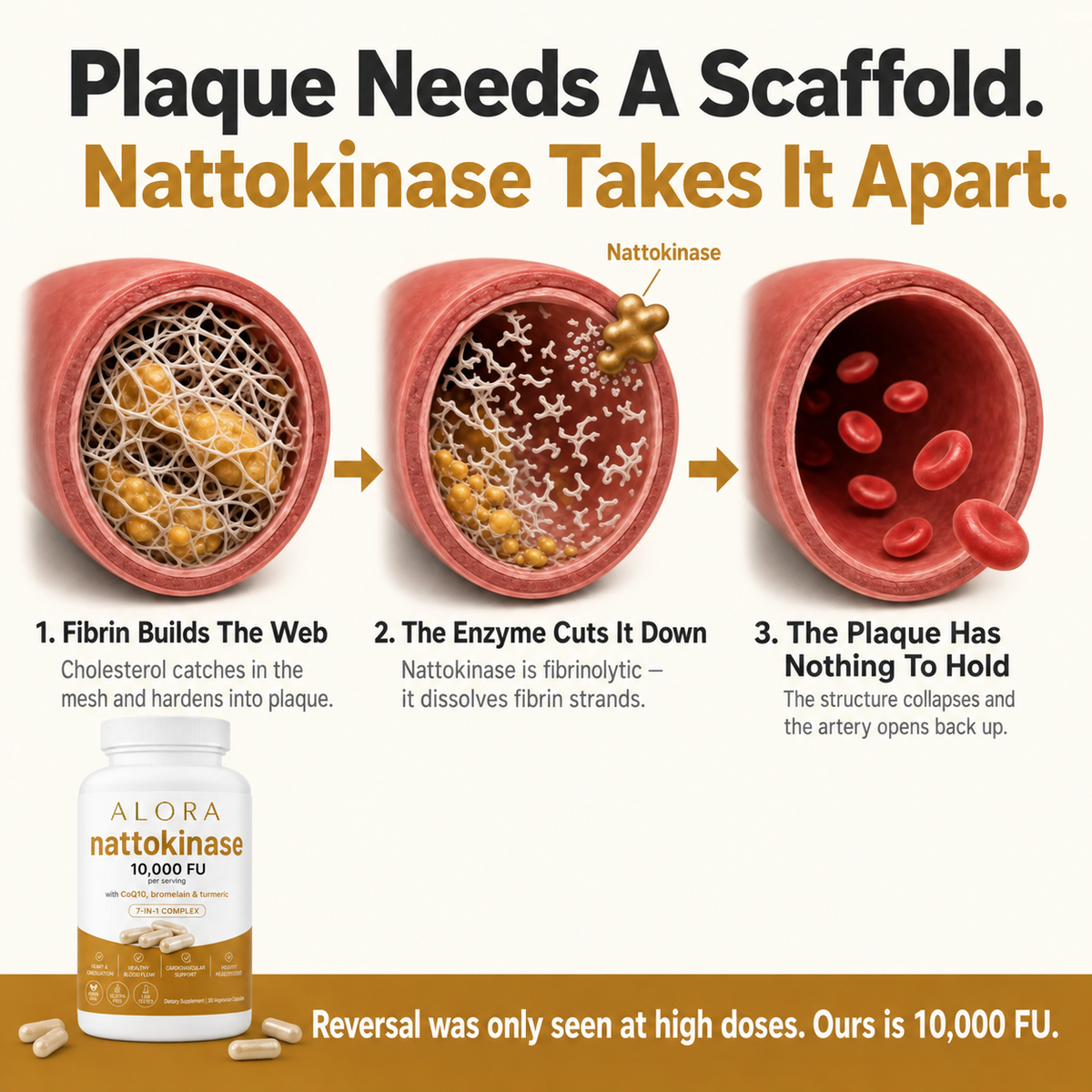 Alora Nattokinase product image 2