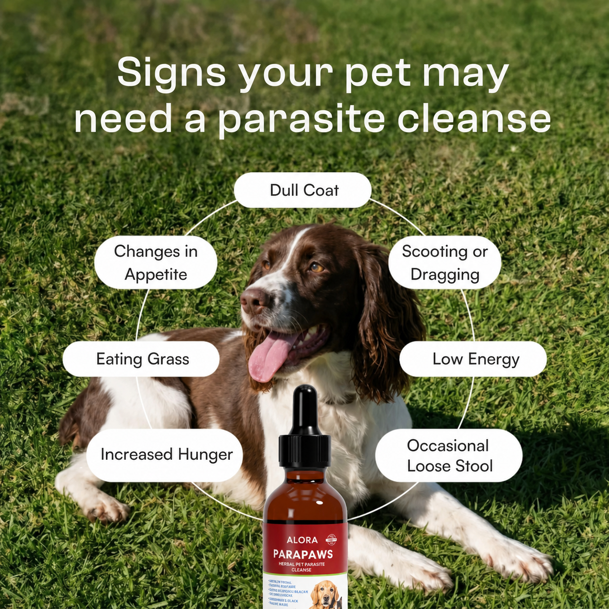 ParaPaws™ Dog Parasite Cleanse
