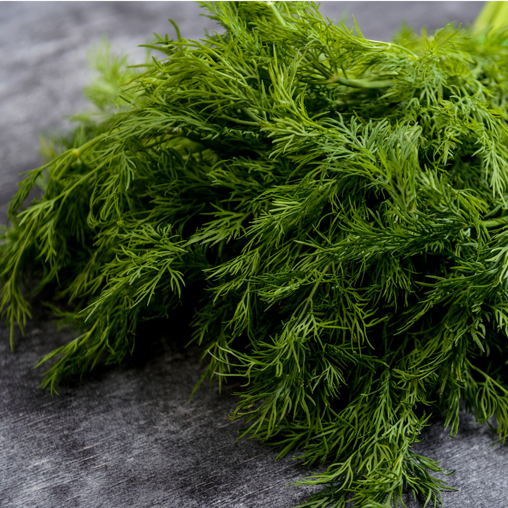Wormwood
